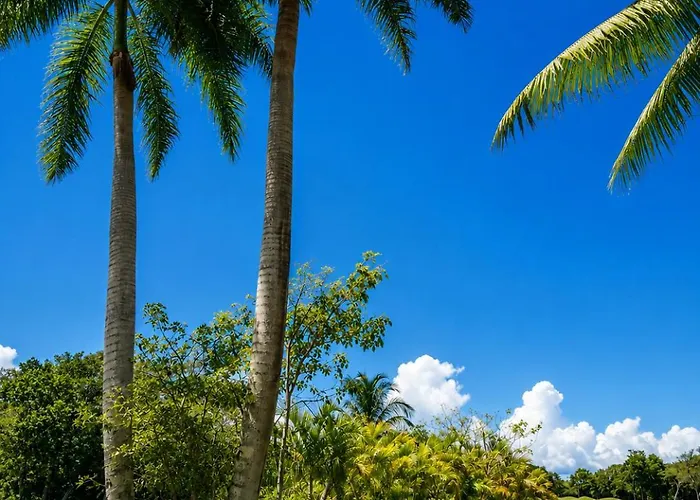 Apartamento Marina Dream Playa del Carmen